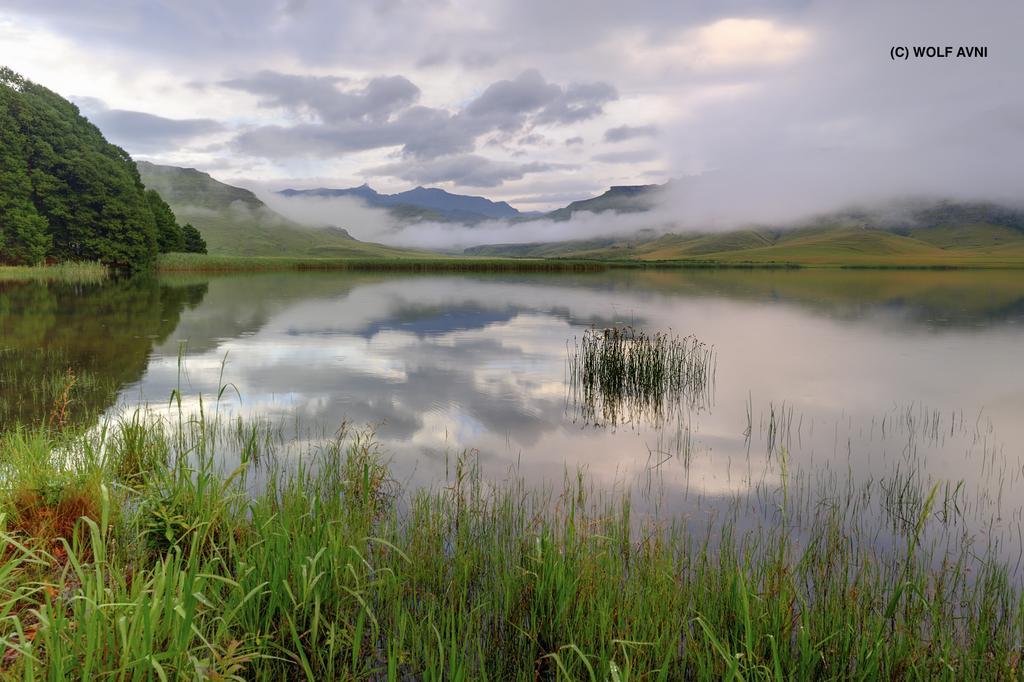 Giantscup Wilderness Reserve Ундерберг Экстерьер фото